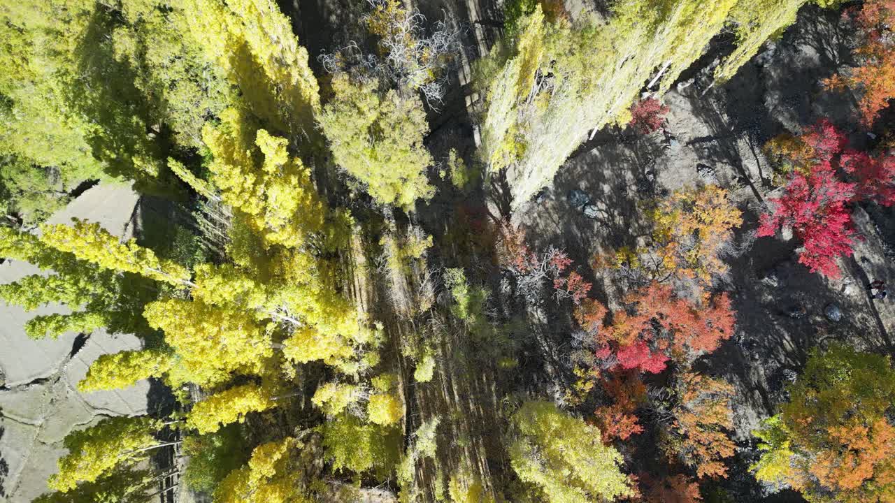 스카르두 마을의 가을 색의 나무 위에서 아래로 공중