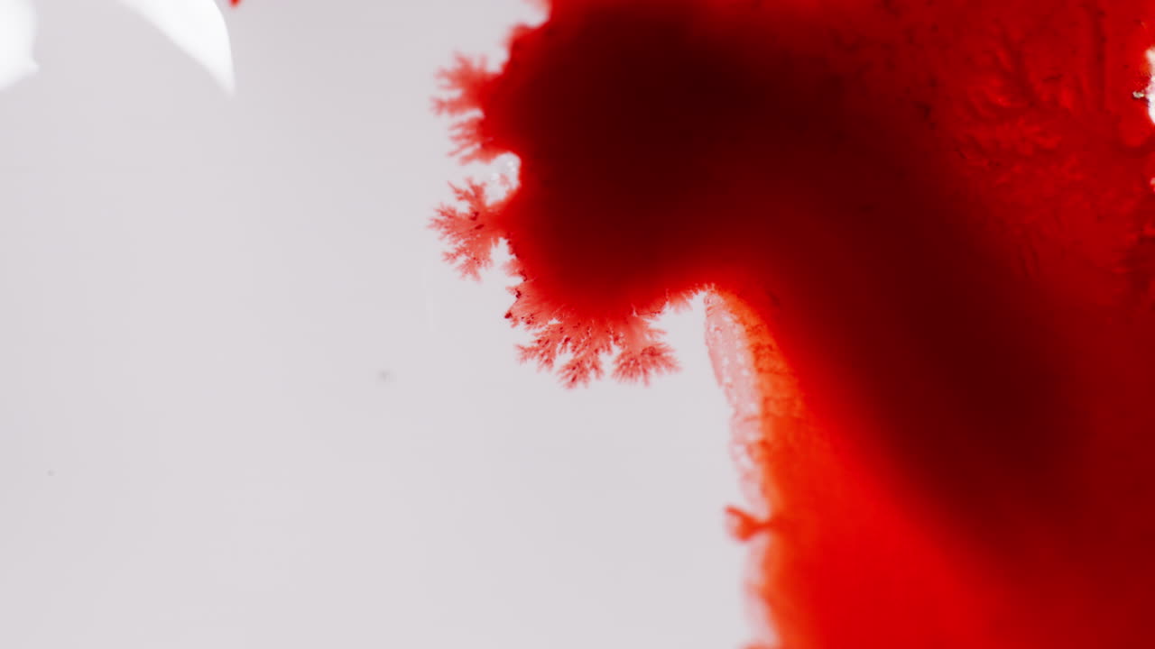 Deep Red Fluid Color Spreading On White Surface. Abstract