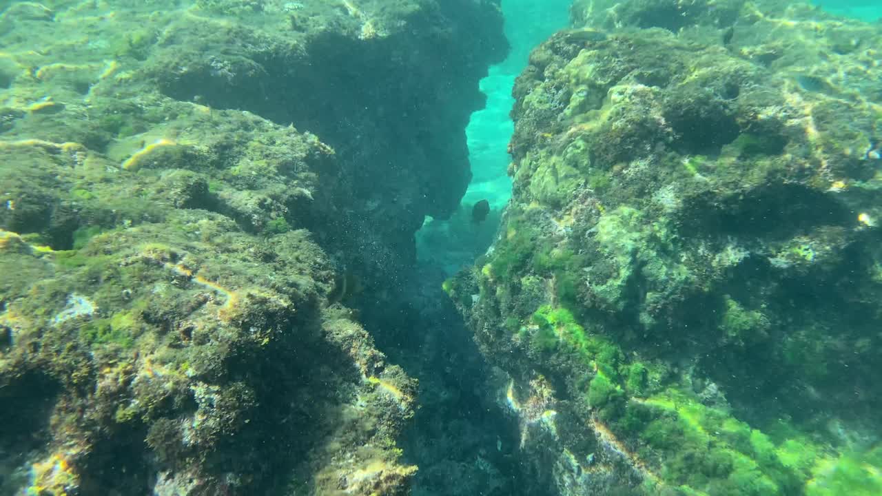 바다 아래 최고의 전망