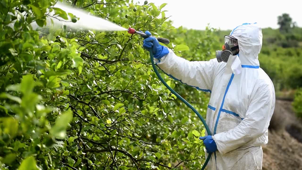 fumigación por aspersión para el control de malezas