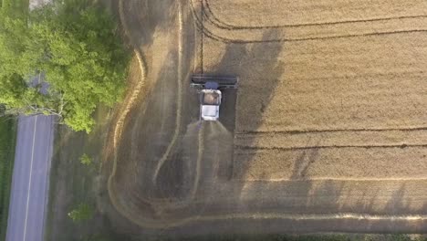 aerial view flying over combine harvester harvesting next to rural countryside road at sunset in slow motion