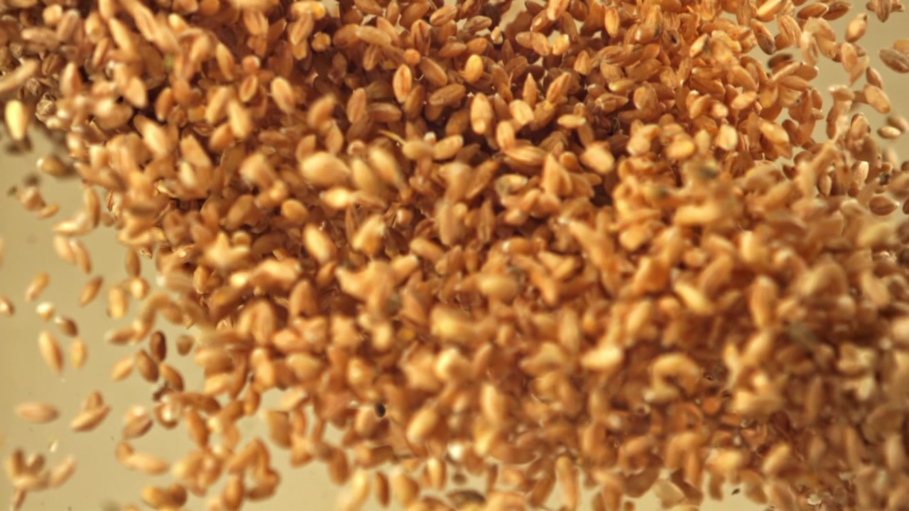 Primo piano di chicchi di grano che cadono al rallentatore