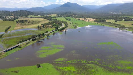 flooded farmland with flock of white birds