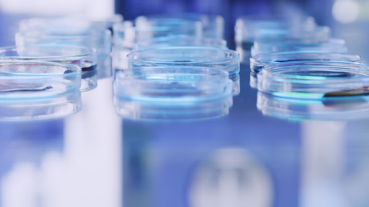 유리 판 을 배열 하는 과학자 의 손 의 클로즈업