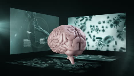 cerebro 3d giratorio con pantallas científicas en el fondo