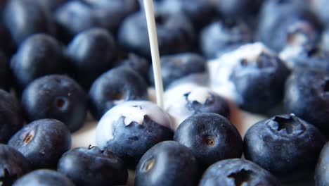 blueberries with cream