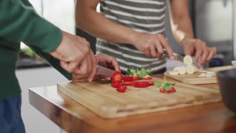 Midsection-of-diverse-male-couple-making-healthy-drink-together-in-kitchen