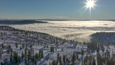 Winter-forest-with-fog-in-the-valley-below-and-clear-skies-above,-aerial-footage