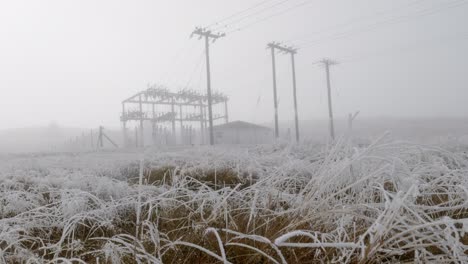 Hoar-frost-on-grass-in-front-of-power-station-in-heavy-fog