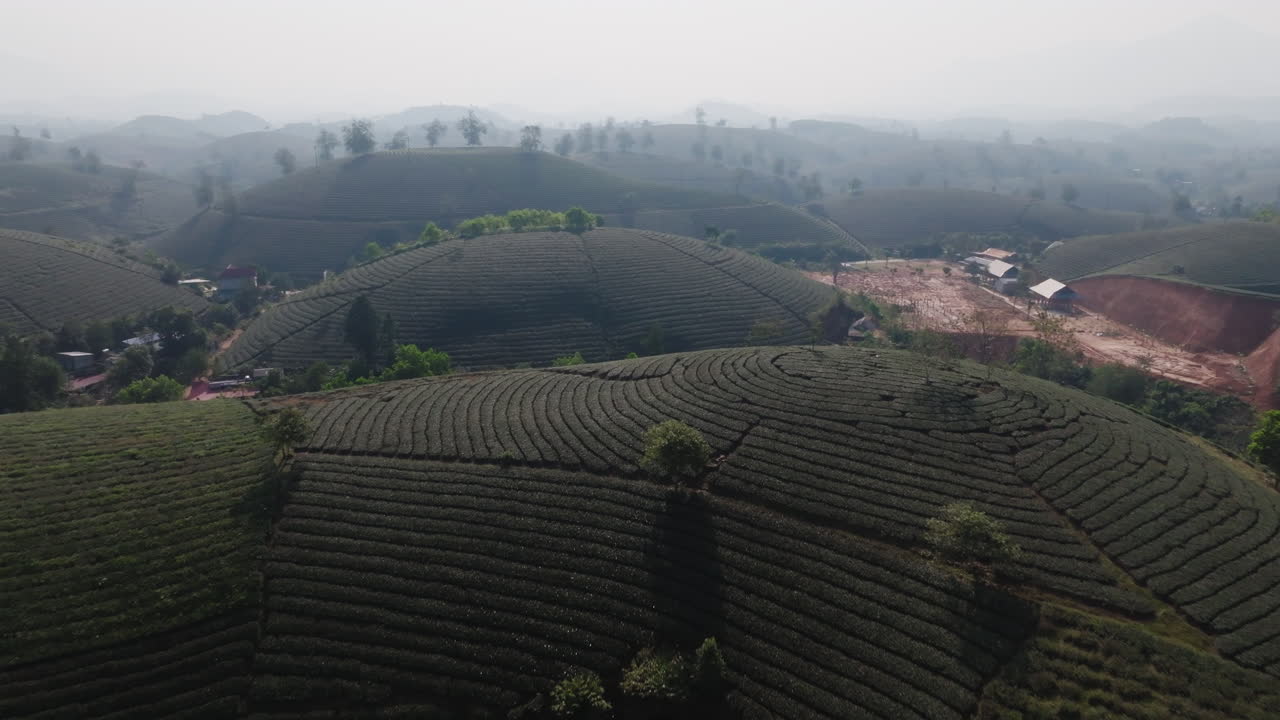 Drone che sorvola un crinale di colline del tè con foschia e stagni sottostanti nella valle, colline del tè di Long Coc, Phu Tho, Vietnam.
