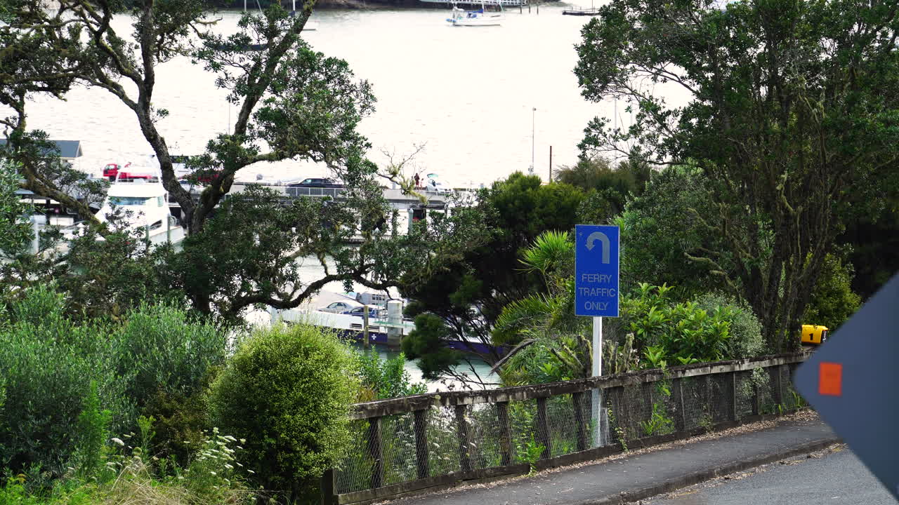 배를 배경으로 선착장에 정박한 무성한 녹색 식물