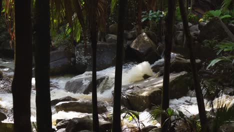 lots-of-water-from-the-sauzier-waterfall,-after-heavy-rainfall-on-Mahe-island,-Seychelles