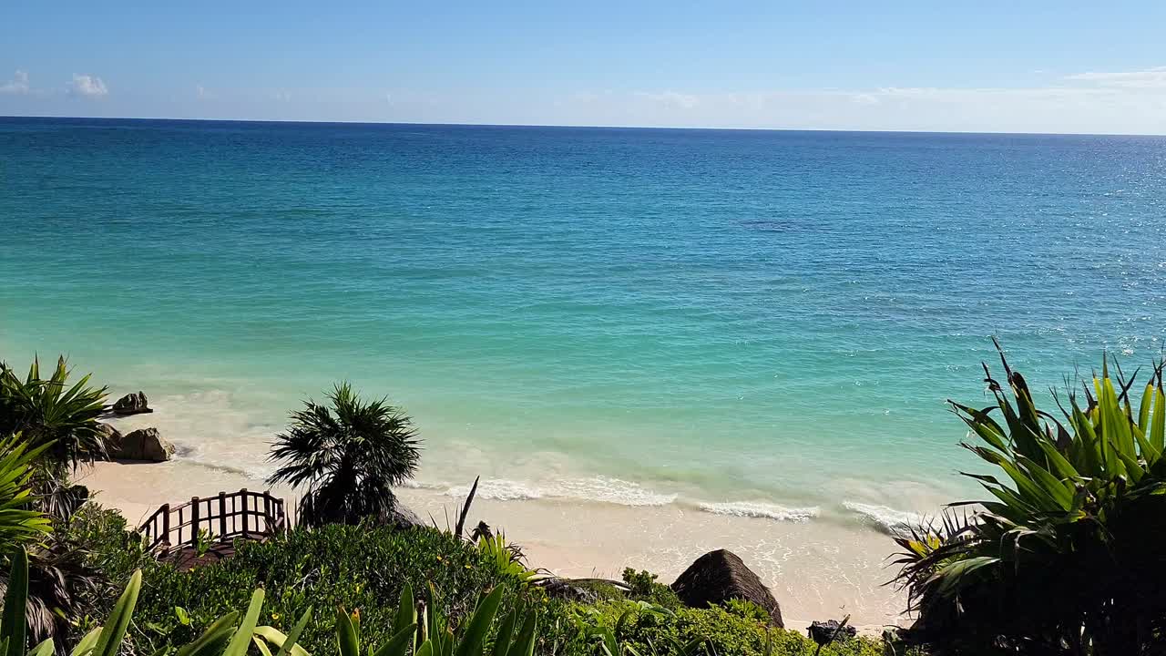 바람이 바가에서 잎을 움직인다