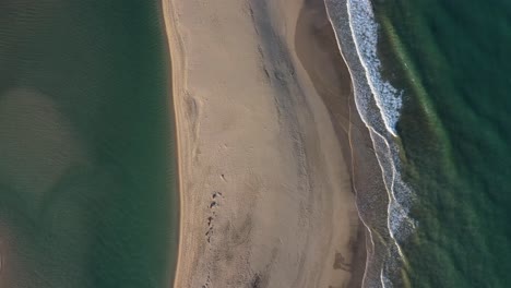 spain-canary-islands-beach-SOTAVENTO