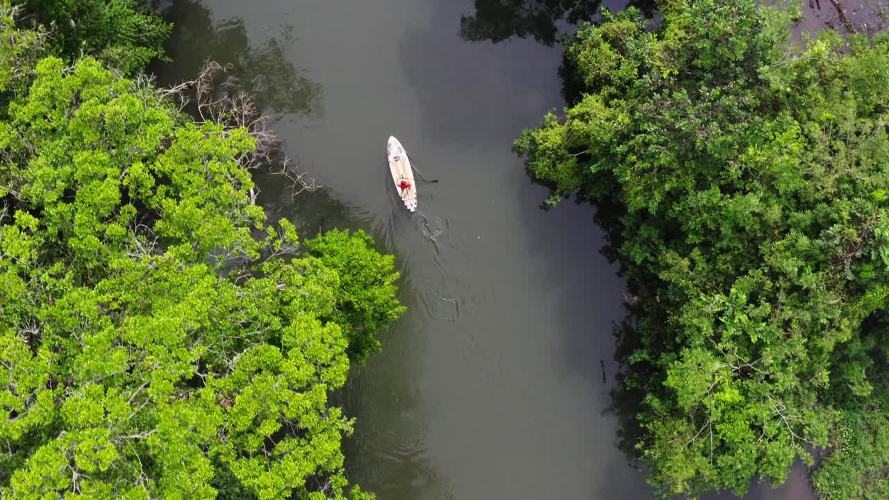 viaje por el río a lo largo de las aguas sinuosas con cada vuelta revelando más selva exuberante