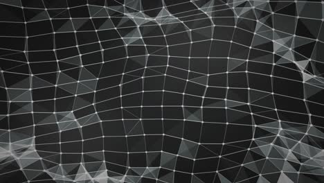 geometrical pattern of a fractal, shapes, lines, waves and connections - plexus animation