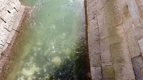 water moat in torre de belem, tower of saint vincent in lisbon, portugal