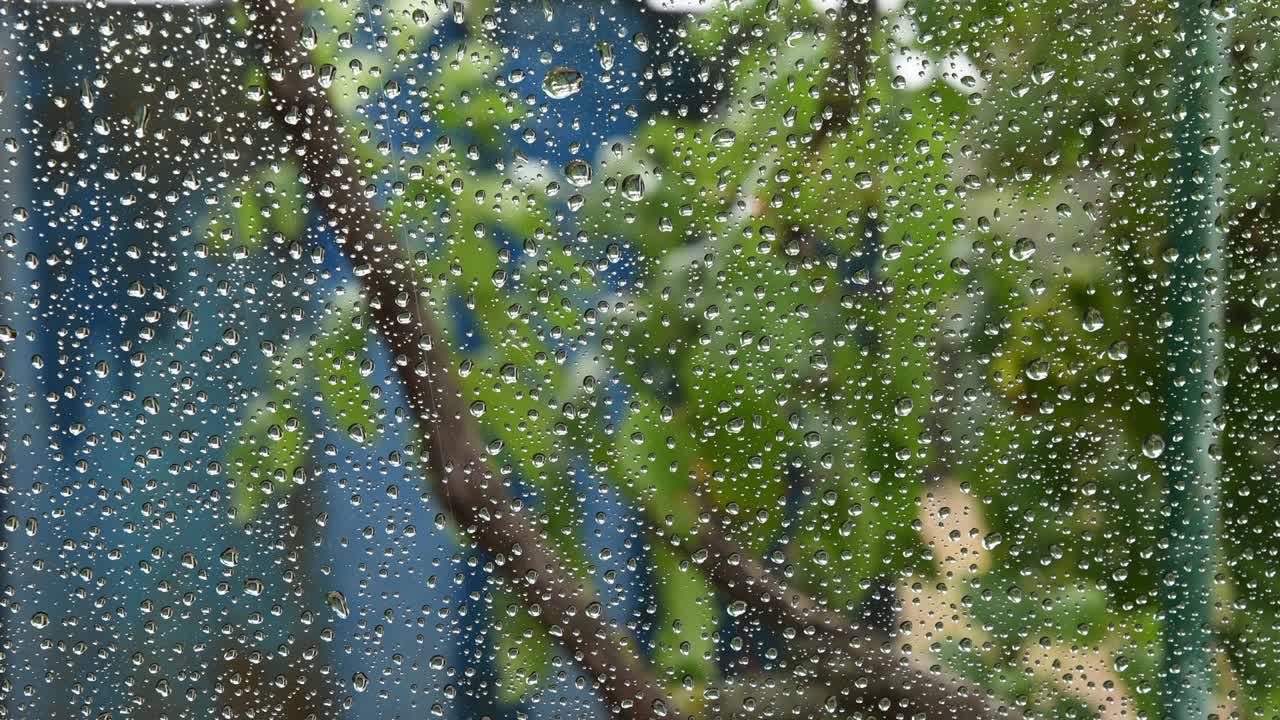 깨한 투명한 유리 표면에 있는 방울의 클로즈업, 뒤에 있는 배경에서 흐릿한 움직임