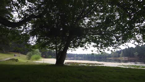 Man-jogging-in-nature.