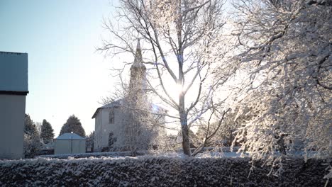 Close-up-on-snowy-tree's-with-lens-flare-through-distant-tree