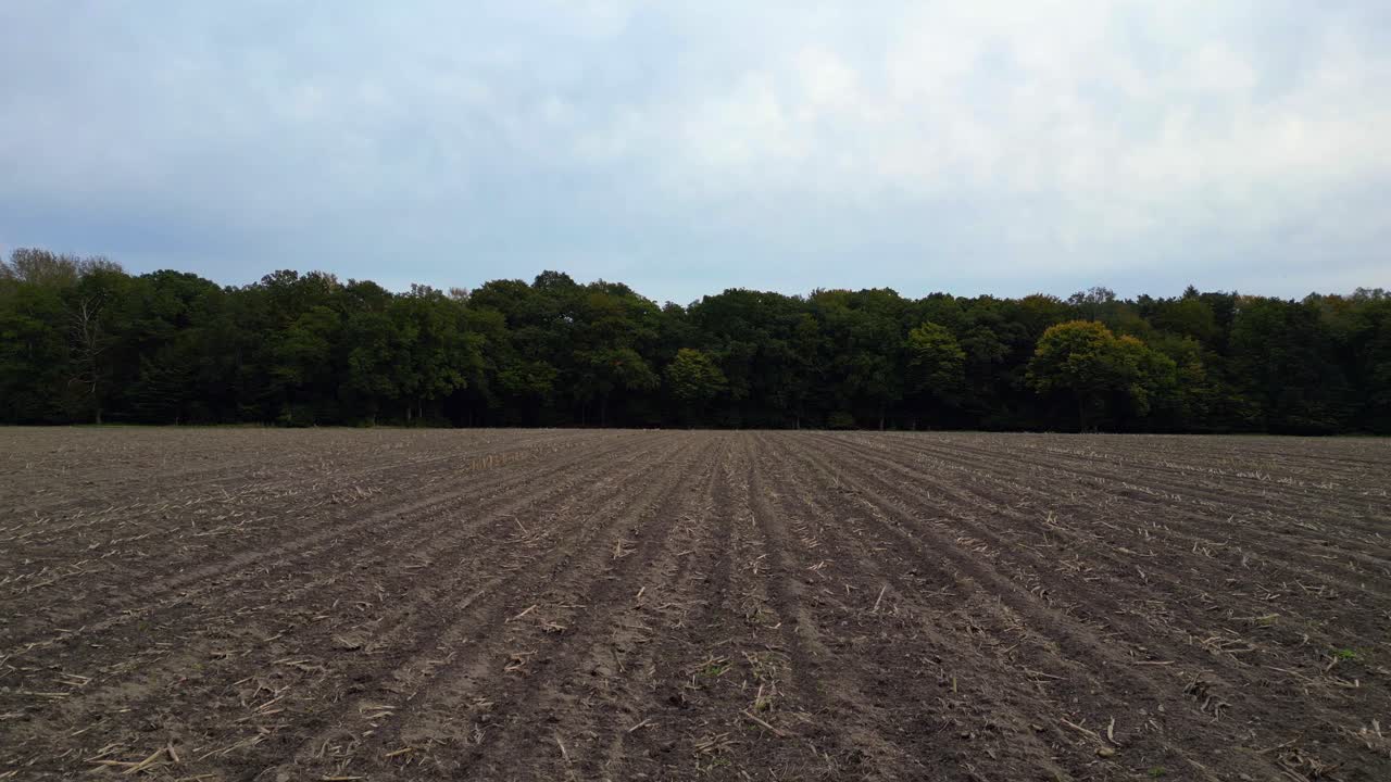 the edge of a forest bordering a plowed field in germany. Marvelous aerial view flight fly reverse drone