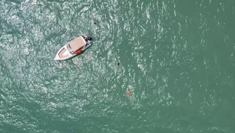 aerial drone birds eye top view shot of a small dolphin tour boat anchored in tropical turquoise ocean water with tourists swimming near the famous madeiro beach in pipa, brazil rio grande do norte