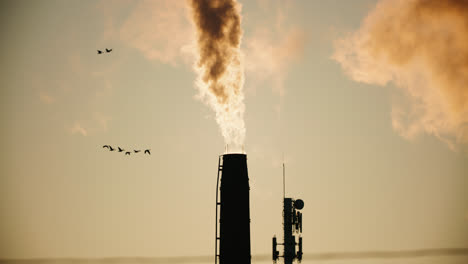 industrial factory chimney emitting thick toxic smoke into atmosphere as flocks of birds fly overhead