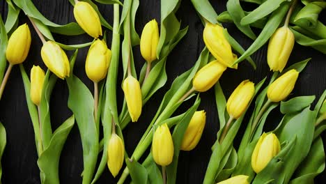 Yellow-tulips-placed-on-black-table--Top-view-with-flat-lay