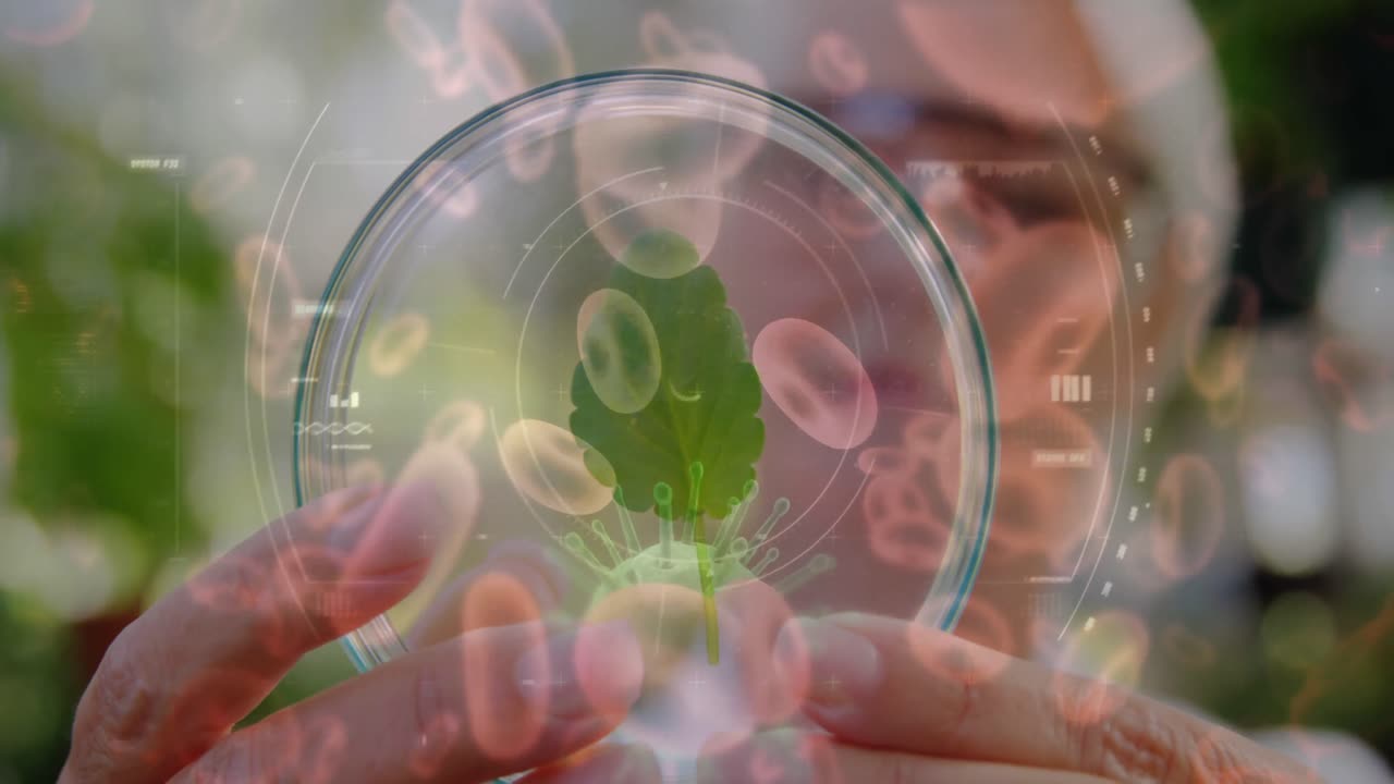 estudiando una hoja llena de organismos microscópicos 4k