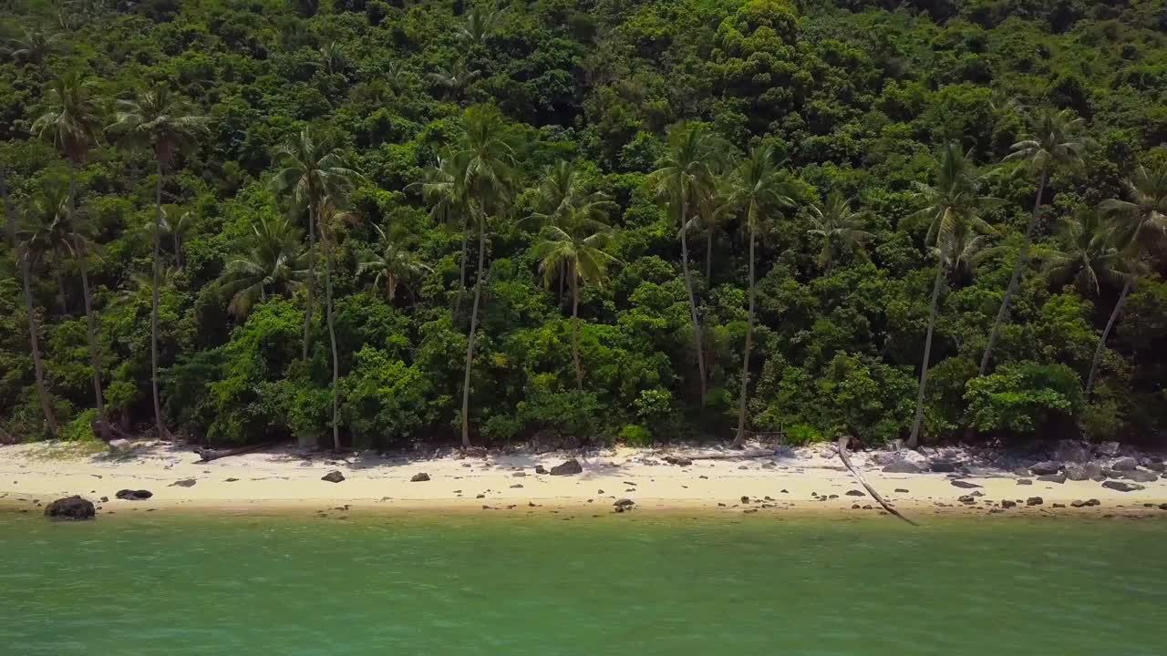 vuelo aéreo sobre una playa tropical con palma de coco