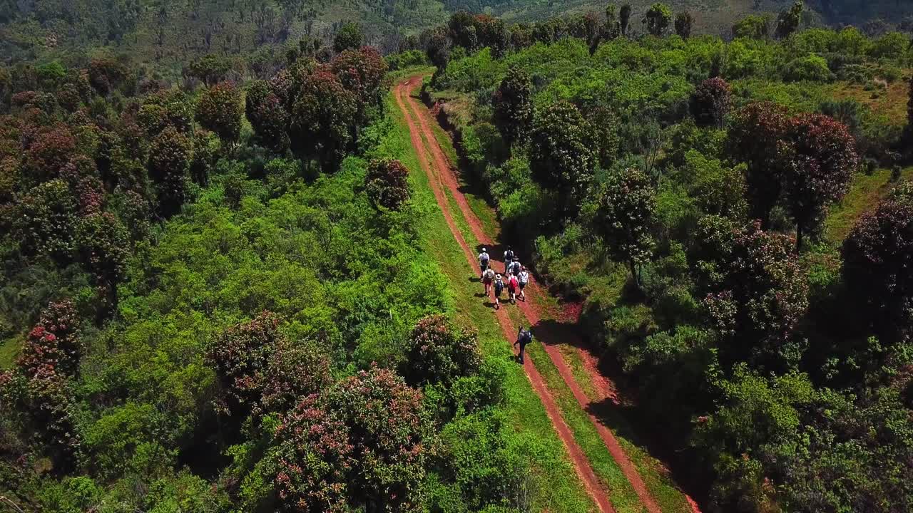 mochileros caminando por la pista del desierto pasando por un denso bosque en la caminata del monte elgon, kenia áfrica
