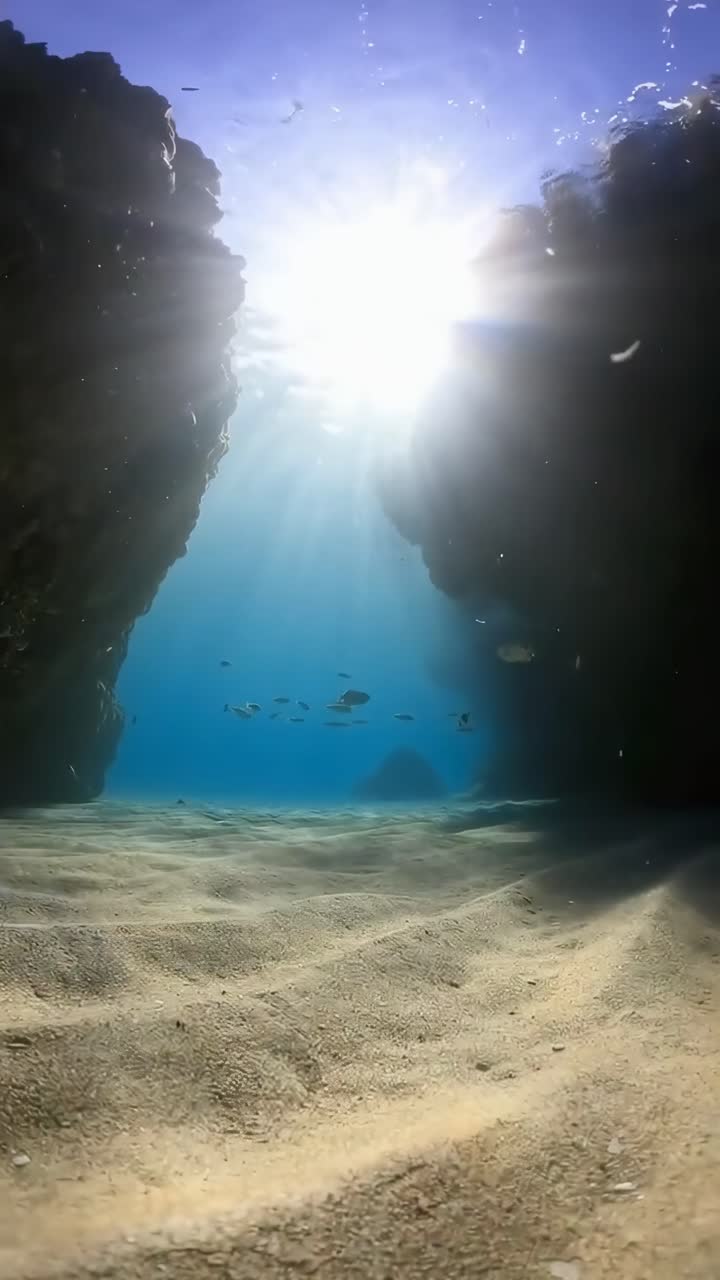 Cena de vídeo subaquática com vista em ângulo baixo da luz solar filtrando pelas rochas e peixes nadando.