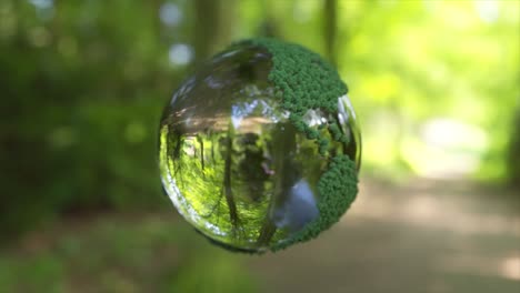 globo de cristal de la tierra en un bosque