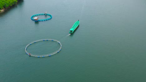 fish farm with cages for fish and shrimp in the philippines, luzon. aerial view of fish ponds for bangus, milkfish