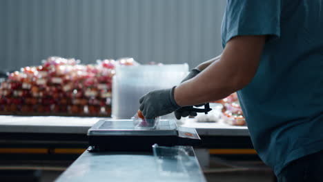 factory tomato weighting scales sorting fresh horticultural product closeup