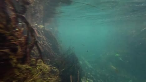 underwater riverbed