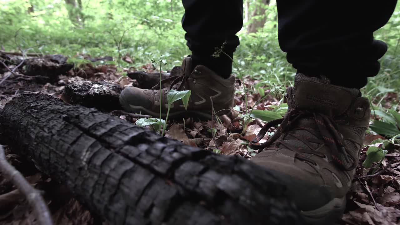Hiking man walks past burned logs in the forest with Hiking shoes