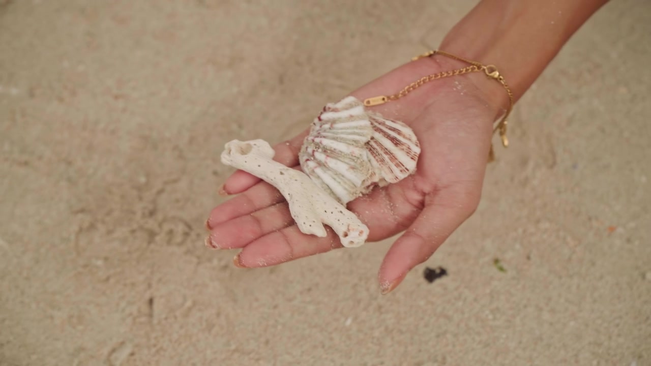 Hands clutching fragile beach shells. Sunlit scene of delicate shells held gently near sandy feet. Capturing warm sunlight moment where hands softly grasp intricate seashells beside toes