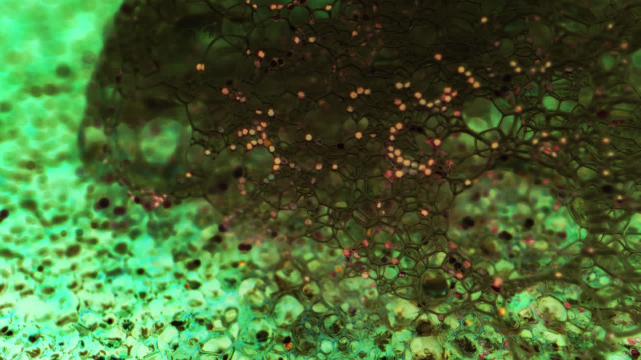 Abstract Microscopic Liquid Patterns