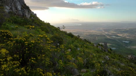 Lush-African-hillside-with-yellow-flowers-reveal-scenic-bay-in-sunset