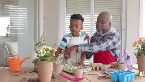 Afroamerikanischer-Großvater-Und-Enkel-Pflanzen-Blumen-Auf-Dem-Balkon,-Zeitlupe
