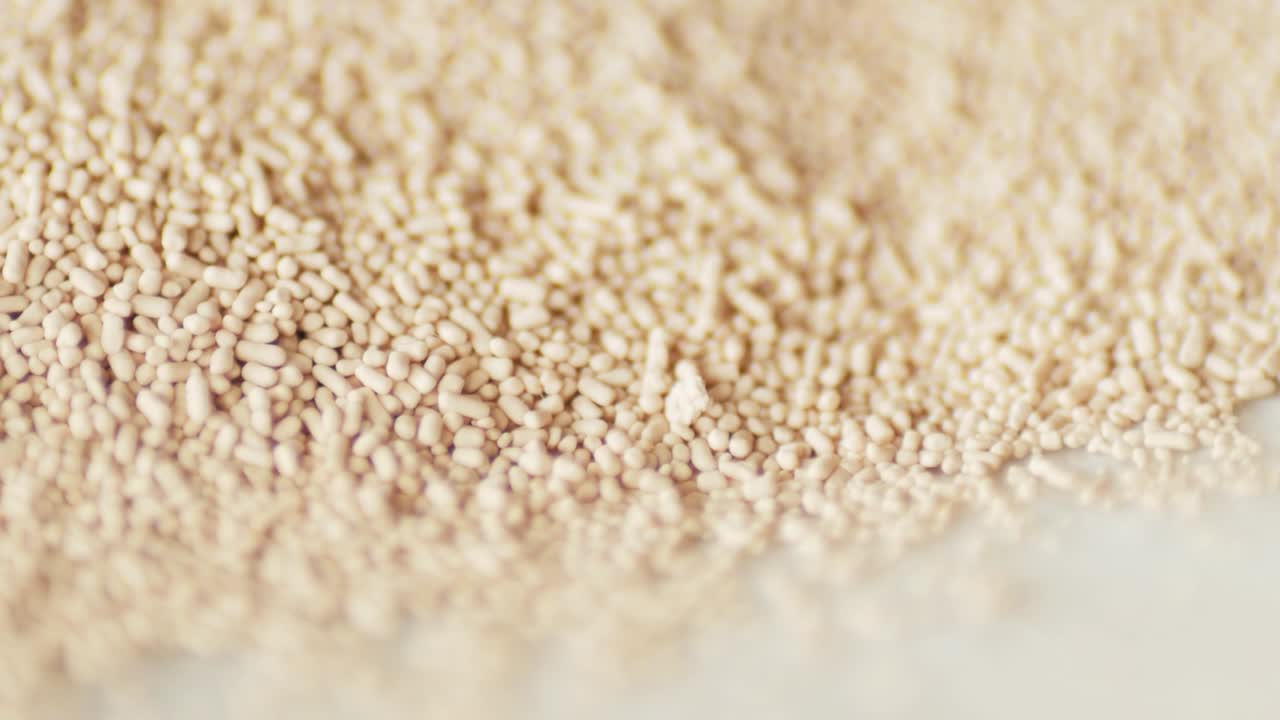 즉시 건조한 효모 회전 하 판에 극심한 매크로