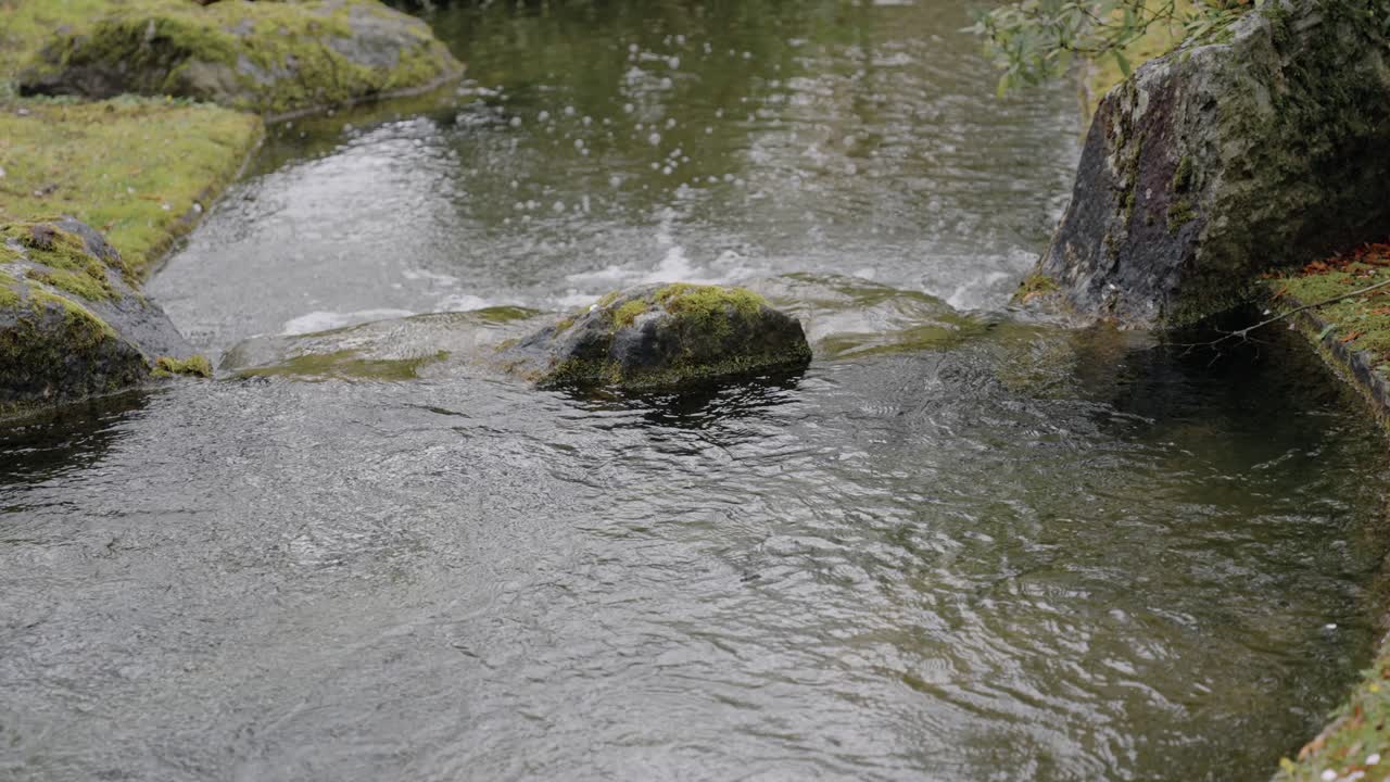 봄철 일본 정원의 바위 옆에 흐르는 잔잔한 강