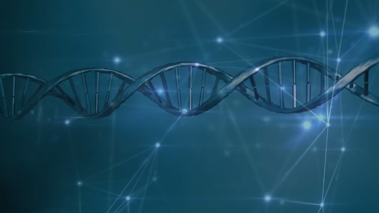 animación de la red de conexiones sobre la cadena de adn sobre fondo negro