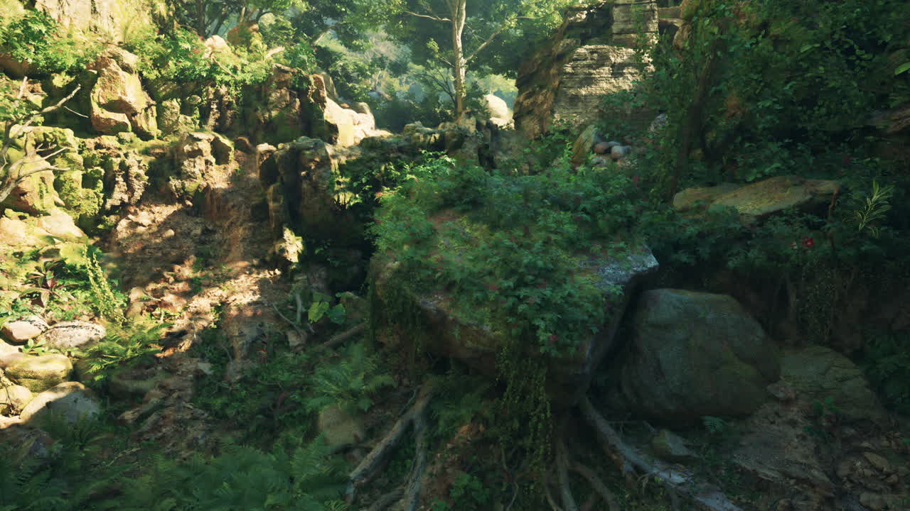 explorando un camino de la densa selva