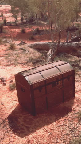 un viejo cofre de madera en el interior de australia
