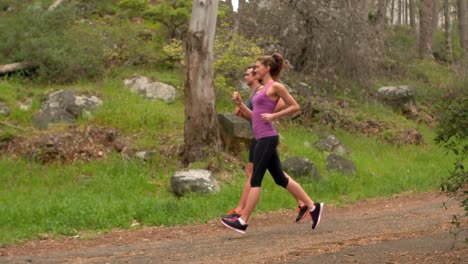 Pareja-Corriendo-Por-Un-Bosque