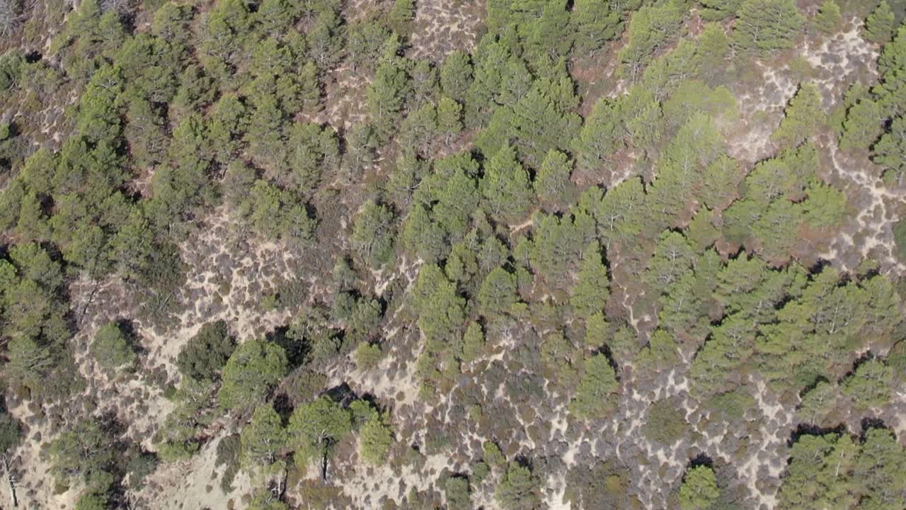 Aerial view showcasing the natural beauty of Greece's landscape