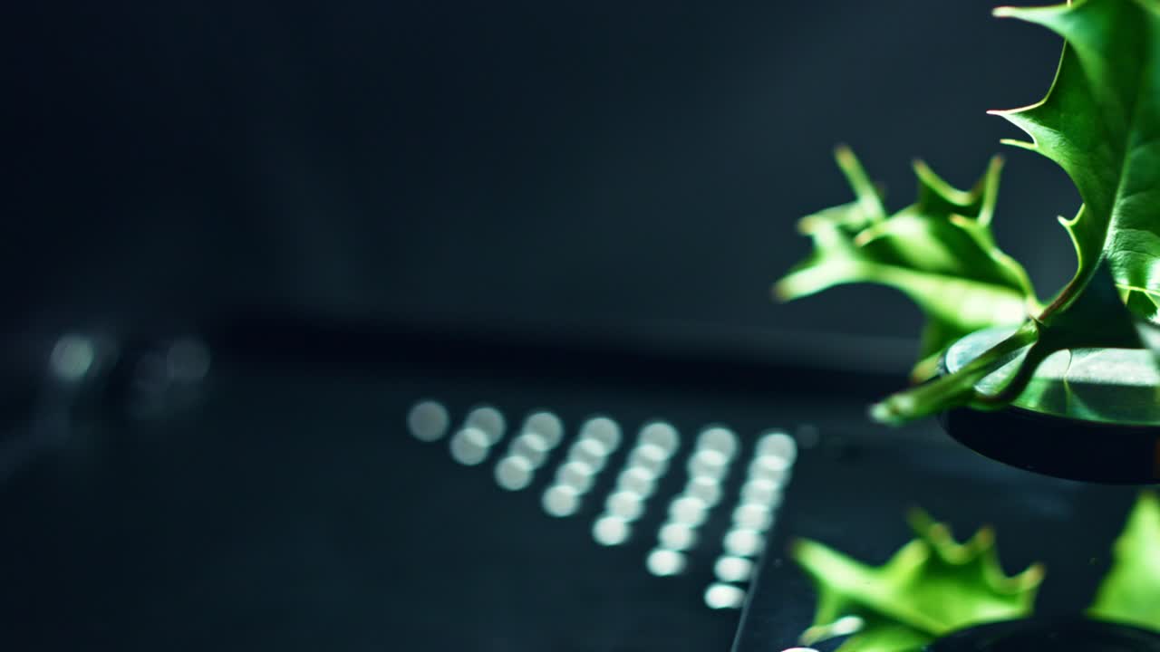 4K Abstract Levitation Platform with Leaf on Black Background