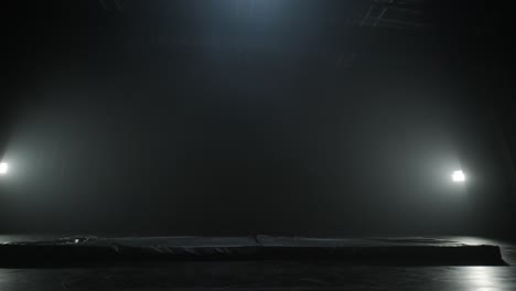 group of a professional dancers are practicing capoeira in darkness against a spotlight on a black background of studio. afro-brazilian martial art that combine elements of dance.